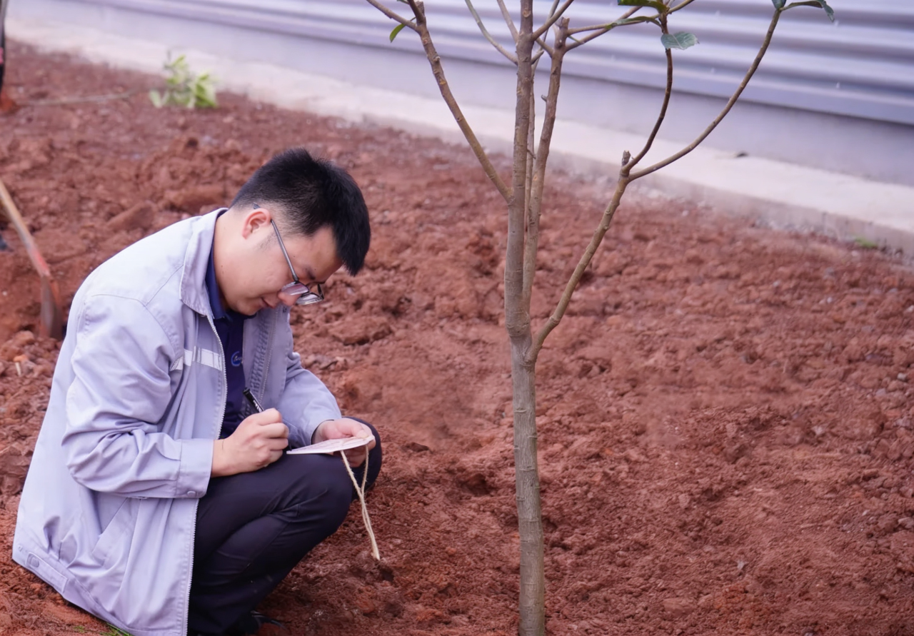 1773295459399542.png 73b00d4726f13f0992a182c9d947a901.png