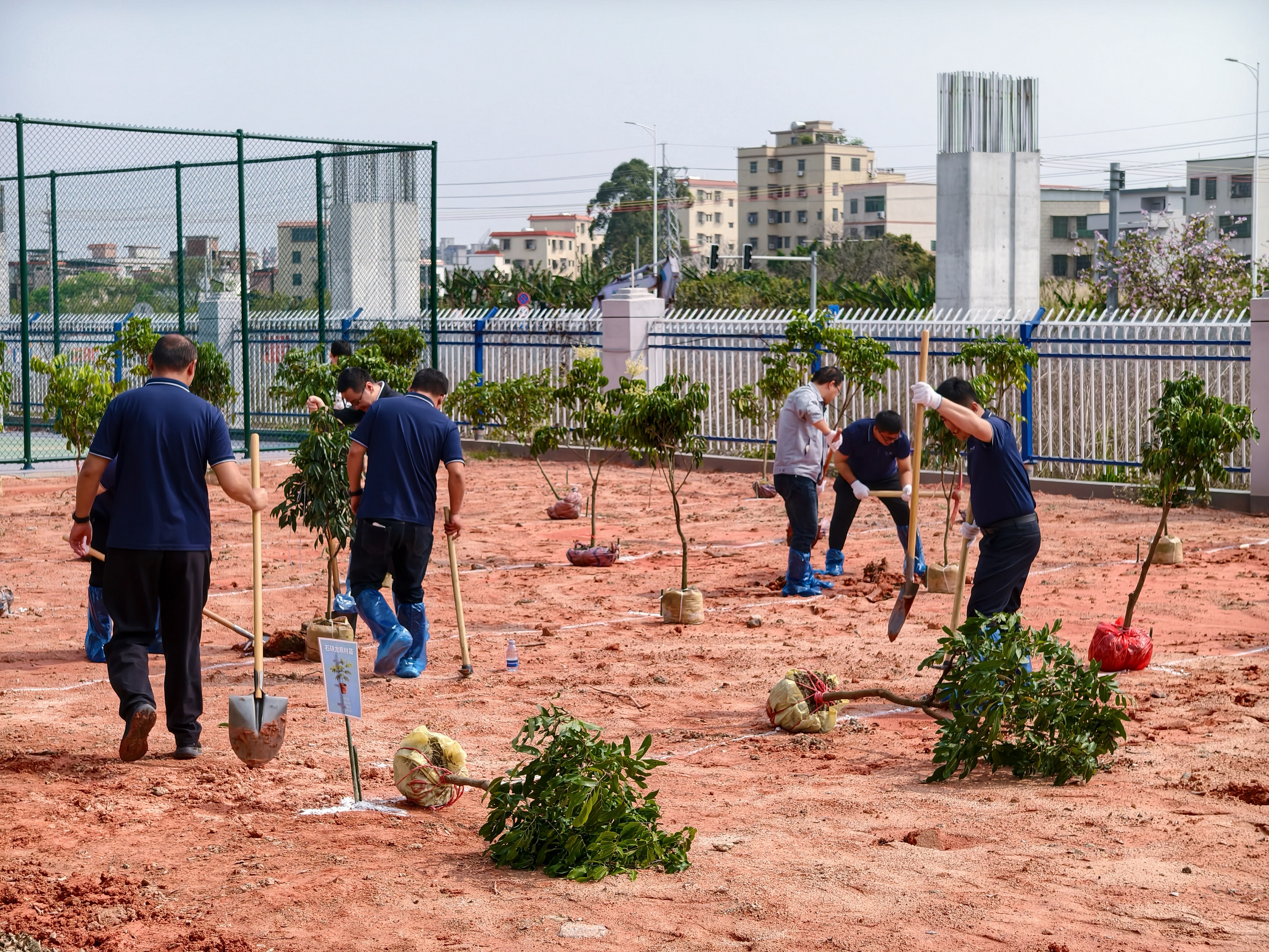 1773295490776631.jpg 微信图片_20260311133324_168_19.jpg