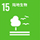 Sustainable Development Strategy