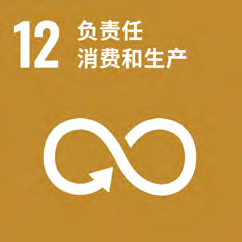 Sustainable Development Strategy