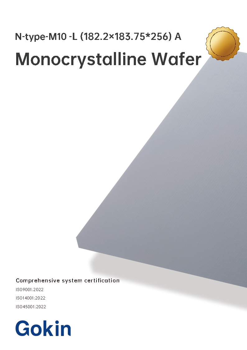 N-type M10-L (182.2×183.75x256) Level A