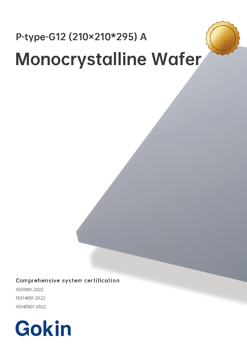 P-type G12 (210×210x295) <br>Level A